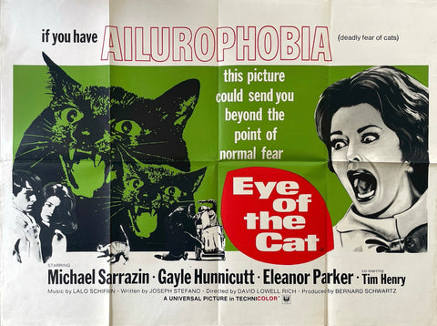 Eye of the Cat