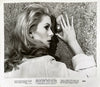 Belle De Jour