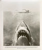 Jaws