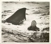 Jaws 2