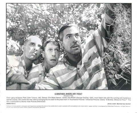 O Brother Where Art Thou?