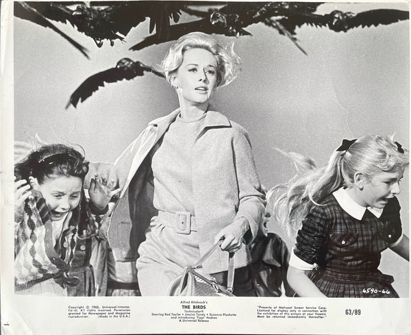The Birds