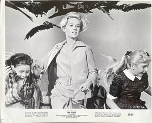 The Birds