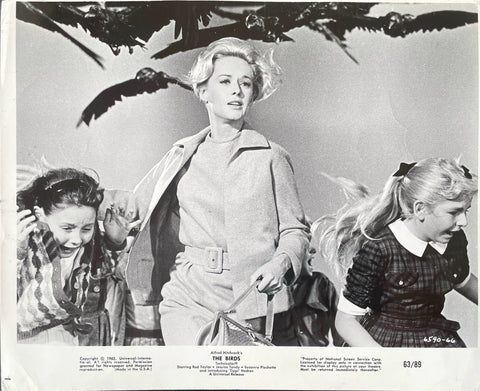 The Birds